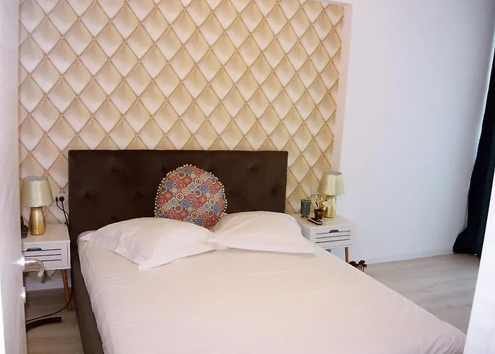 Zev Mediteraneo * Năvodari